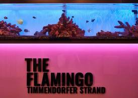 The Flamingo 2