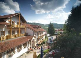 Das Arber-Hotel am Rothbach 2