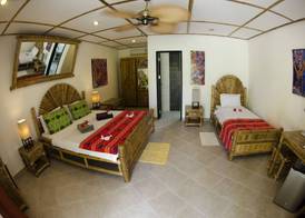 Dolphin House Resort Moalboal 5