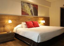 Mod Hotels Mendoza 4