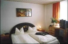 Hotel Goldener Karpfen 5