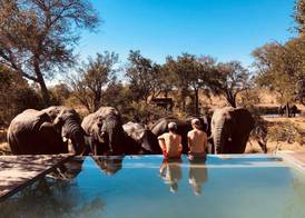 Honeyguide Tented Safari Camp - Khoka Moya 4
