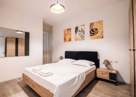 Kalpazo Rental Mosaic Tirana 3
