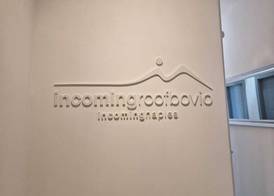 Incoming Roof Bovio 3