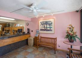 Kuhio Banyan Club 2