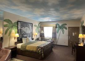 Belleza Inn & Suites Humble - FM 1960 3