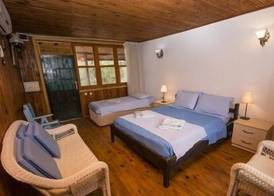 Jenny's House 5