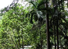 Frenchman's Cove Resort 3
