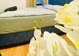 Sweet 3BR Apt in a Quiet Neighborhood 5