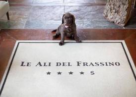 Le Ali Del Frassino 3