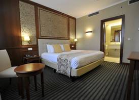 Holiday Inn SKOPJE by IHG 4