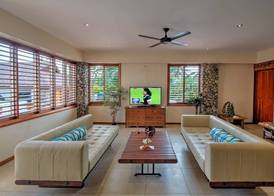 Maui Palms 4