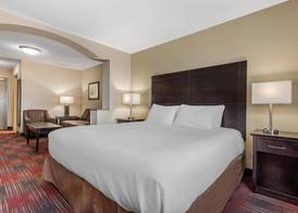 Best Western Plus Red Deer Inn & Suite 5