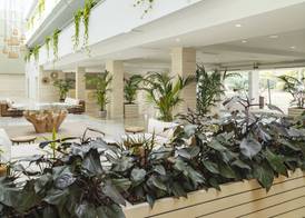 Hotel Cabogata Jardín 4
