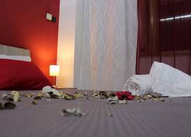 Harmony Rooms 2