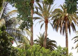 Finca Borbolan y La Roseta 5