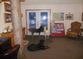 Clark Fork Lodge 3