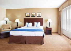 Holiday Inn AURORA NORTH- NAPERVILLE by IHG 3