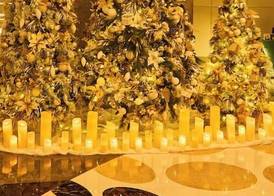 Sofitel Dubai Downtown 5