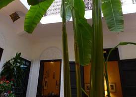 Riad Marhbabikoum 5