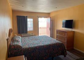 Palm Tree Inn 2