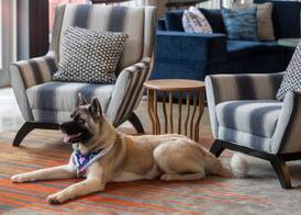 Aloft by Marriott Cleveland Beachwood 3