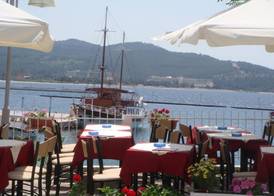 Welcome To Hotel ,,petunia,, In Neos-marmaras,xalkidiki ,greece,in Para18dise 3