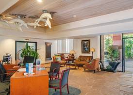 Kahana Falls Resort 4