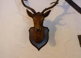 The Sea Trout Inn 4