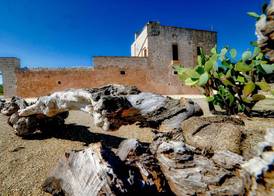 Hotel Masseria Tutosa 2