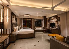 The Luxury Tiger at Lake Pichola 3