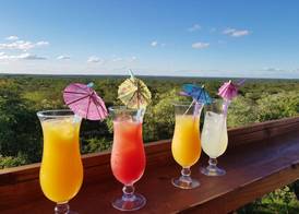 Thornhill Safari Lodge 2
