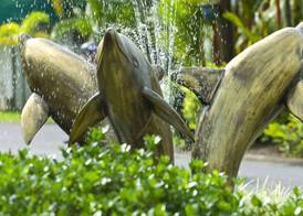 Ingenia Holidays Cairns Coconut 2
