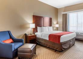 Comfort Inn & Suites Navasota 4