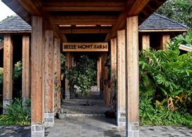 Belle Mont Sanctuary Resort - Kittitian Hill 3