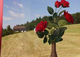 Gasthof Lafette 4