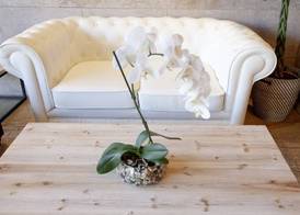 Hotel Cruz de la Victoria 4