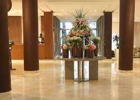 PLAYA DEL PACHA Suites Hotel 5