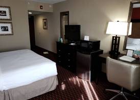 Wyndham Garden Dover 4