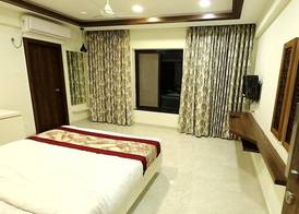 Areca Palms 5
