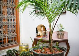 Riad Idrissy 3