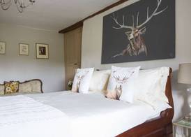 Forthay Bed and Breakfast 3