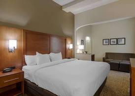 Comfort Suites Columbus State University Area 4