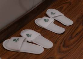 Dynasty Hotel Skardu 4