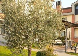 Hotel Da Vito 4