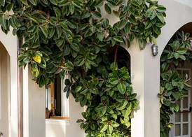 Hotel Corallo 2