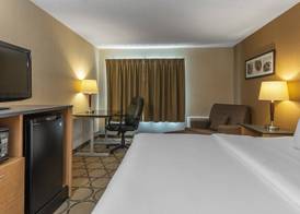 Comfort Inn 5