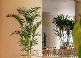 Steigenberger Hotel & Nelson Village 2