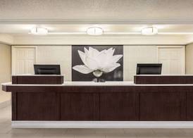La Quinta Inn by Wyndham San Antonio I-35 N at Toepperwein 3