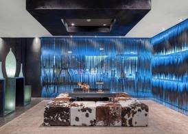 Hotel AC Baqueira Ski Resort, Autograph Collection 5
